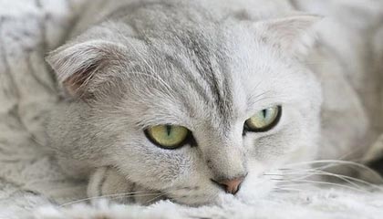 开云体育平台-《绝地求生》新武器上线：性能测试与实战应用，绝地求生即将迎来新武器