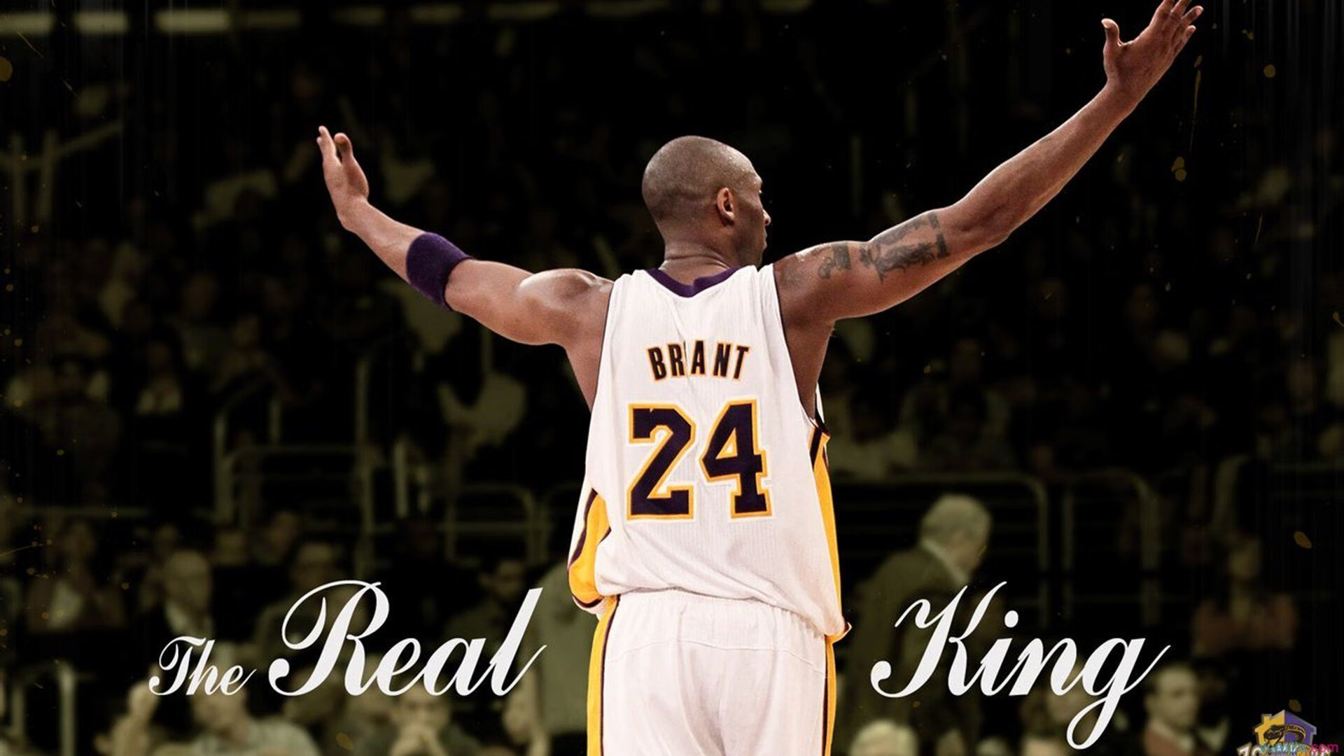 开云体育官网下载安装-“青春激扬”青少年篮球故事展览在北京盛大开幕，青少年篮球赛主题