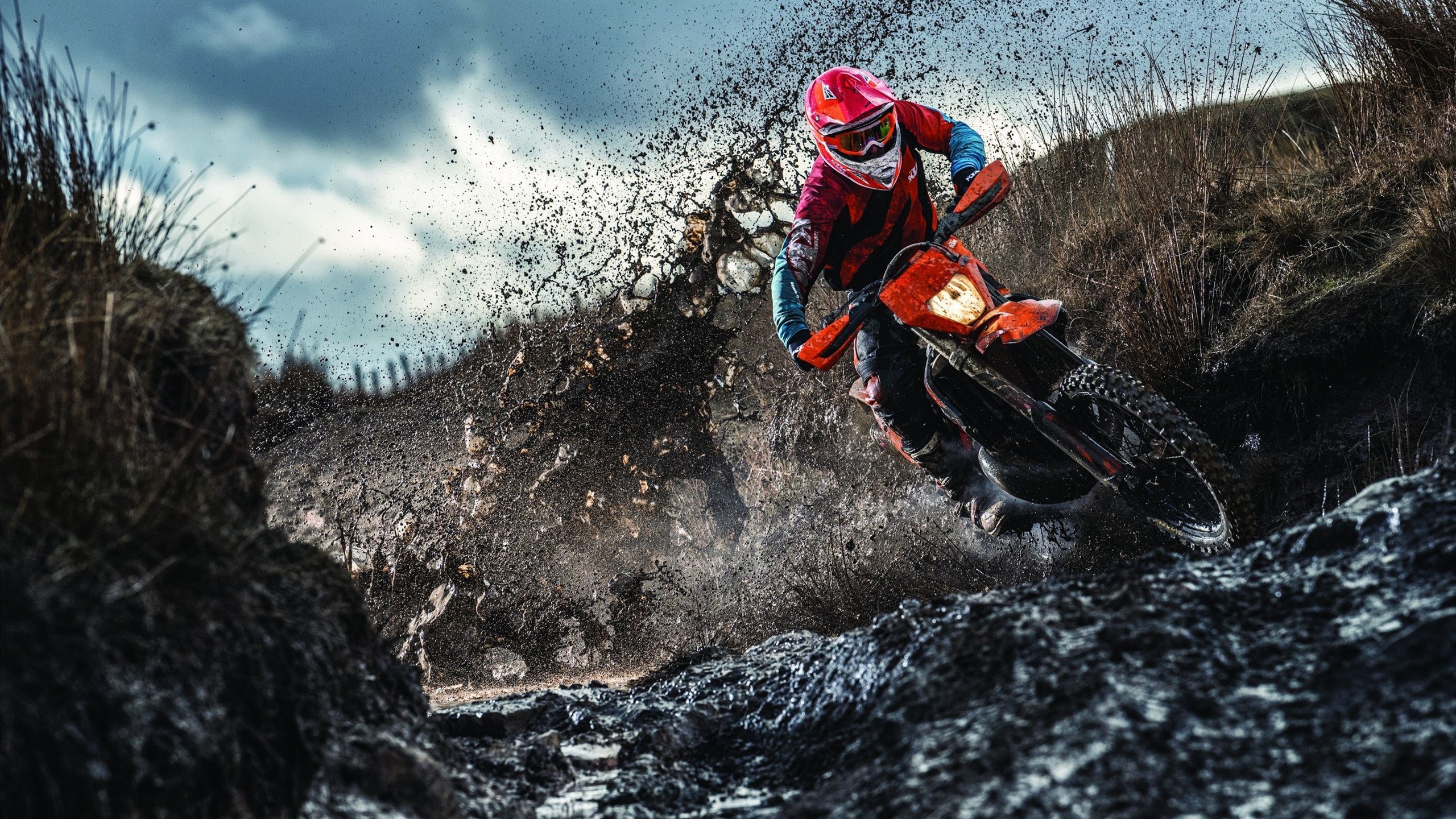 开云体育客服-汽车拉力赛：荒野中的速度争霸，汽车拉力赛集锦